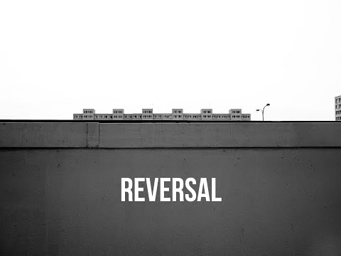 Terrorist Hypotheses