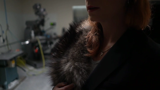 January 15th, 2019 - DD v Grewal preview